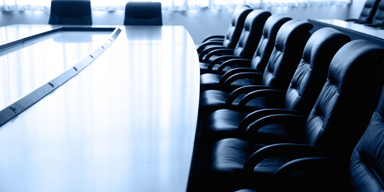 FORMAS DE REMUNERAR LA FUNCIÓN DE ADMINISTRADOR ÚNICO DE UNA SOCIEDAD